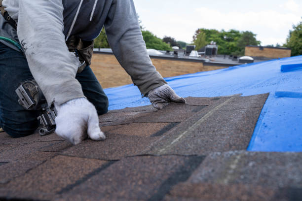 Professional Roofing Contractor in Woodinville, WA