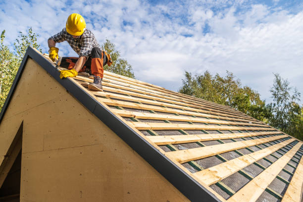 Roof Gutter Cleaning in Woodinville, WA